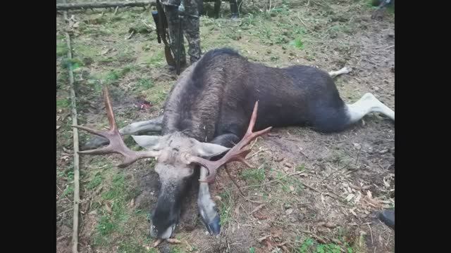 12 ЛУЧШИХ МОМЕНТОВ ОХОТЫ