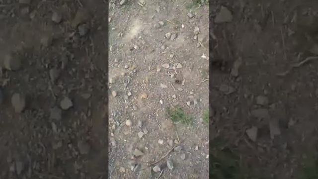 разговор с подписчикоми