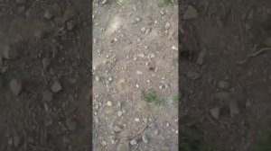 разговор с подписчикоми