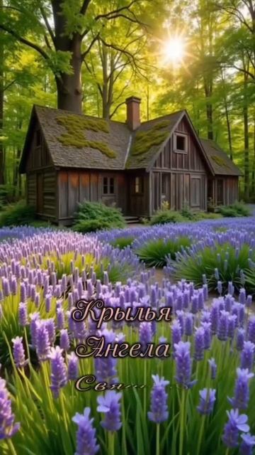 ведут тебя по жизни