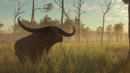 парк фернандо