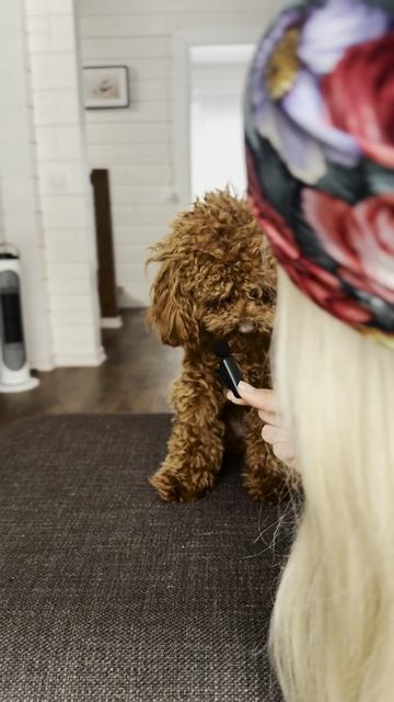 Тумба правды|часть первая