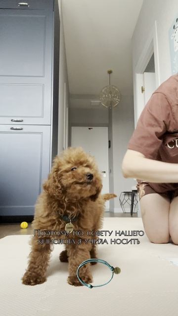 Адресник| Часть первая