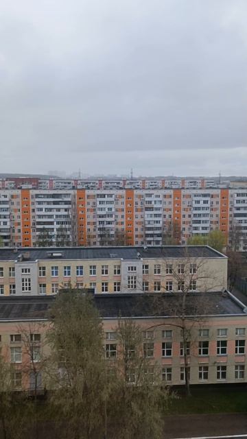 Вот такая школа у меня