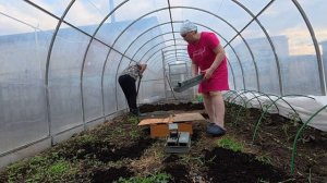 Опять рискнула.