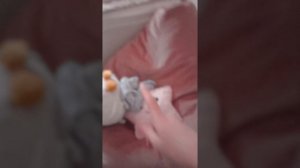 РУМТУР НА МОЮ КОМНАТУ! Подборка завтра! ПРИЯТНОГО ПРОСМОТРА!!!!