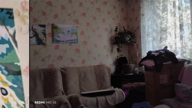 красивые фото