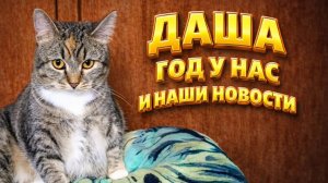 Даша. Год у нас и наши Новости.