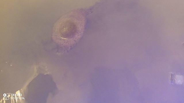 Сегодня тестируем денежную бомбочку 🤑