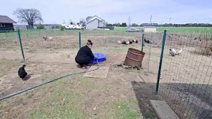 Сельчанка в Америке ПРЕОБРАЖАЮ КЛУМБУ НА ЛЕТО НОВЫЙ БАСЕЙН