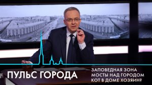 Пульс города. Кургальский заказник, разводные мосты, кошки Санкт-Петербурга. 17 апреля 2026