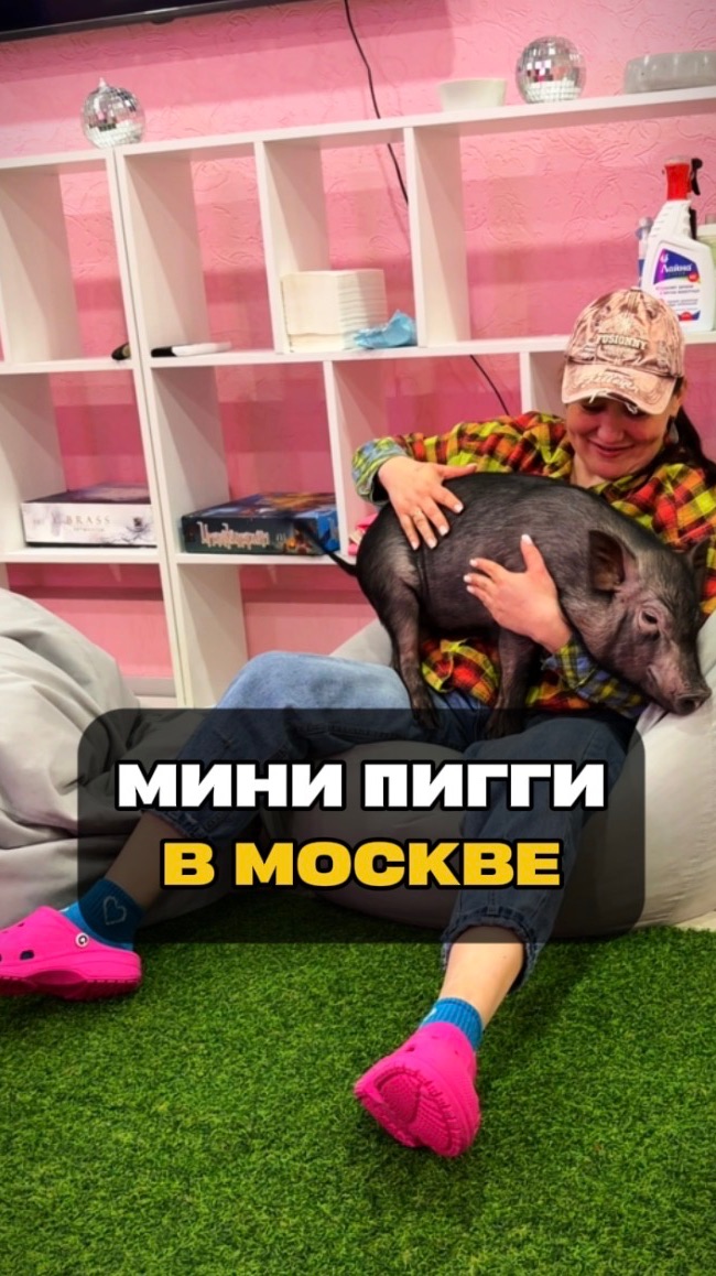 Мини-Пигги в Москве | Москва | Куда сходить с ребёнком в Москве?