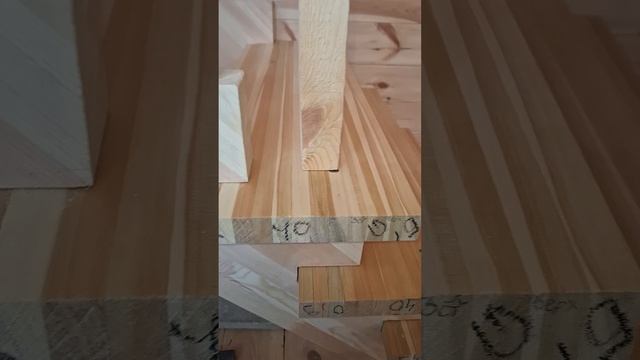 1000056322.mp4 (Собака наблюдает за устройством лестницы на 2-ой этаж в доме А-фрейм)