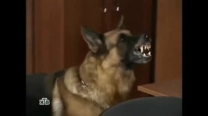 🍿 Самые смешные и убогие моменты из русских сериалов.