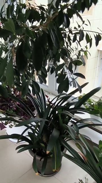 Ботанический сад!