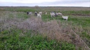 18 апреля 2026 г. (1)