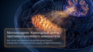Митохондрии - командный центр противоопухолевого иммунитета
