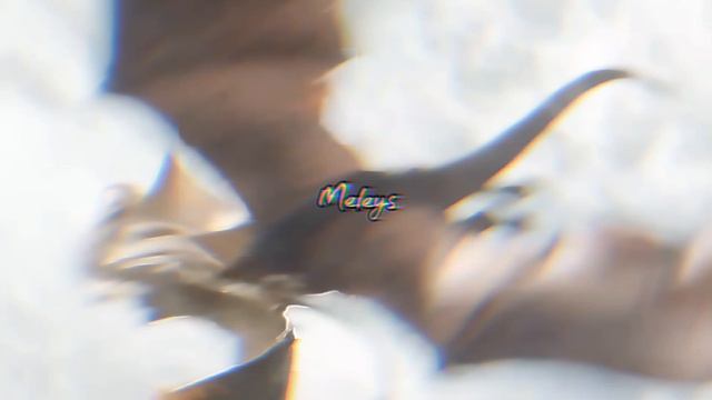 Мелеис (ориг. Meleys) — драконица, принадлежавшая дому Таргариенов