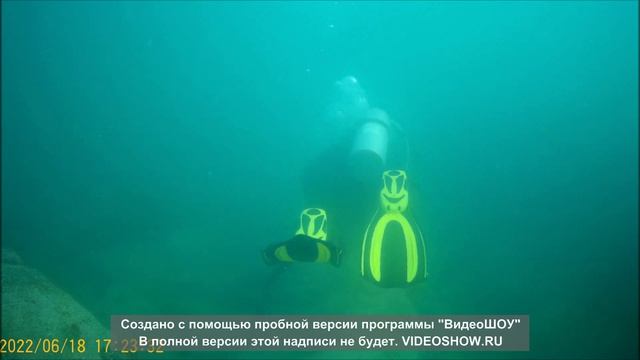 первое погружение клоково