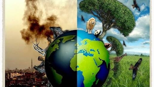 Три среды обитания.Где мы теряем контроль?🌀