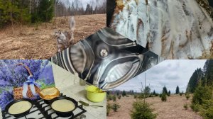 Занималась посадками ,мастер приезжал ,снова блины налистники .