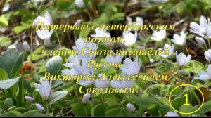 Интервью с петербургским поэтом Викторов Алексеевичем Соколовым. Часть первая (сокращенный вариант)