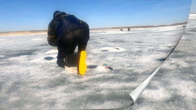 Дурной весенний карась.ОЗ Просешное.