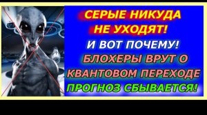Серые никуда не уходят, и вот почему,  блогеры врут о квантовом переходе, страшный прогноз сбывается