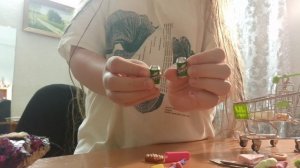 сквиш собачки видео про них + новая обстановка