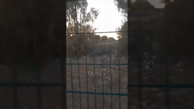 Влог с Кипра 2024 год. Вторая часть.