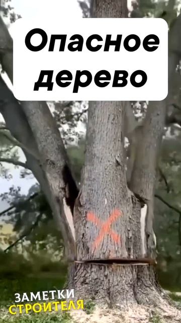 Видео от МЕТЕОР