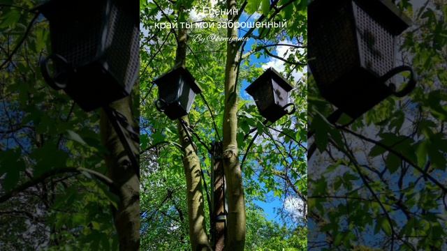 Край ты мой заброшенный - Есенин (@komijama)