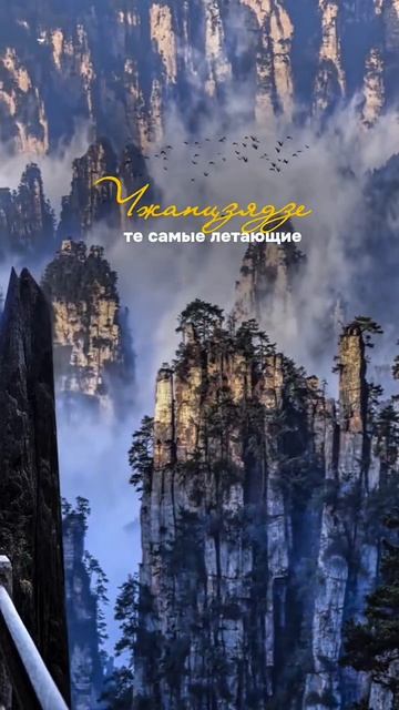 ⚡️9 дней, которые заменяют годы путешествий по Китаю