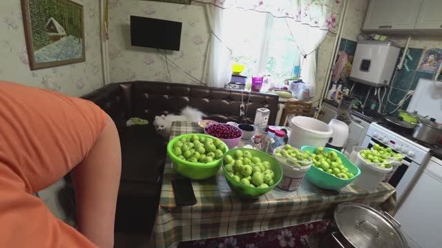 Влог от 02.08.2022