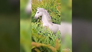 Лошади в мире 2.mp4