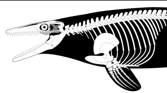 Страшные воспоминания мозазавра😨😂