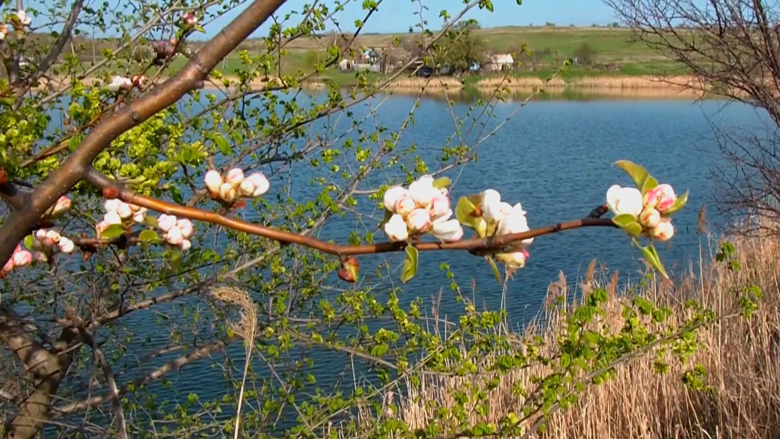 Ароматы весны - 2026