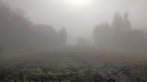 После ночного дождя, 18 апреля