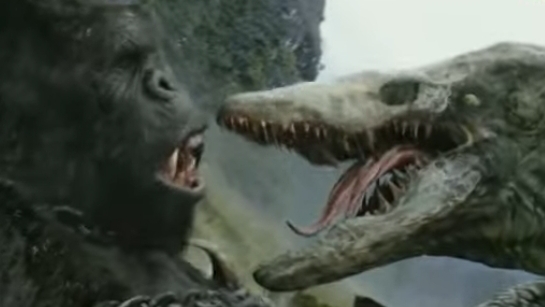 Looking At The Kolobanga!?