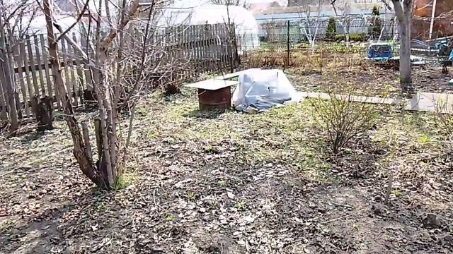 Приехали проведать дачу. Маленькие хлопоты.