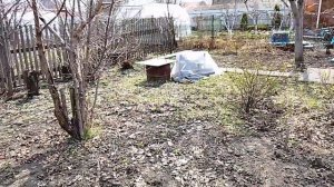 Приехали проведать дачу. Маленькие хлопоты.