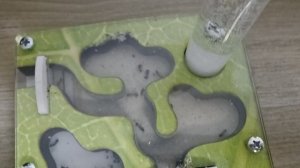 Жизнь муравьёв. 27 серия.