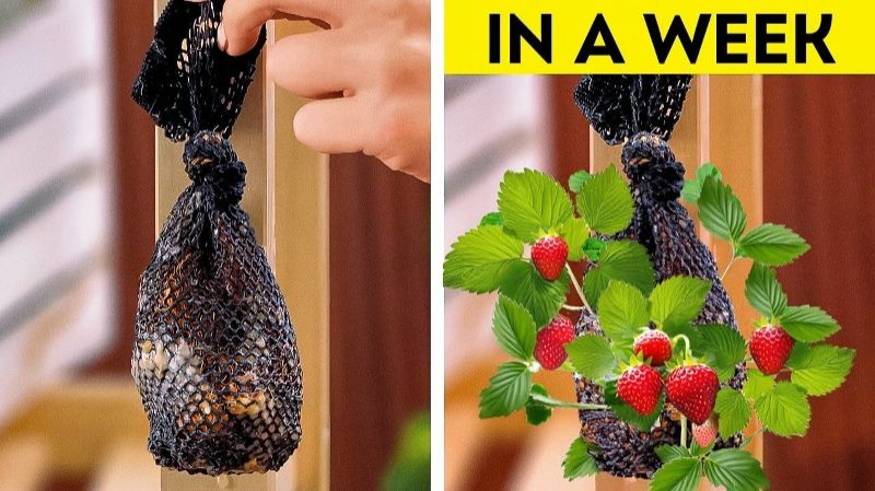 Весеннее садоводство для начинающих Попробуйте эти лайфхаки, и ваш сад зацветет