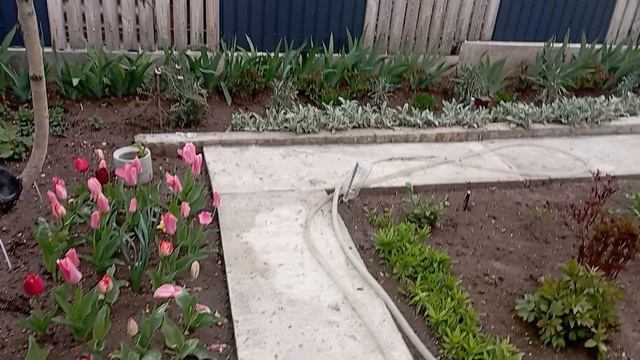 Утро субботы. Без настроения.