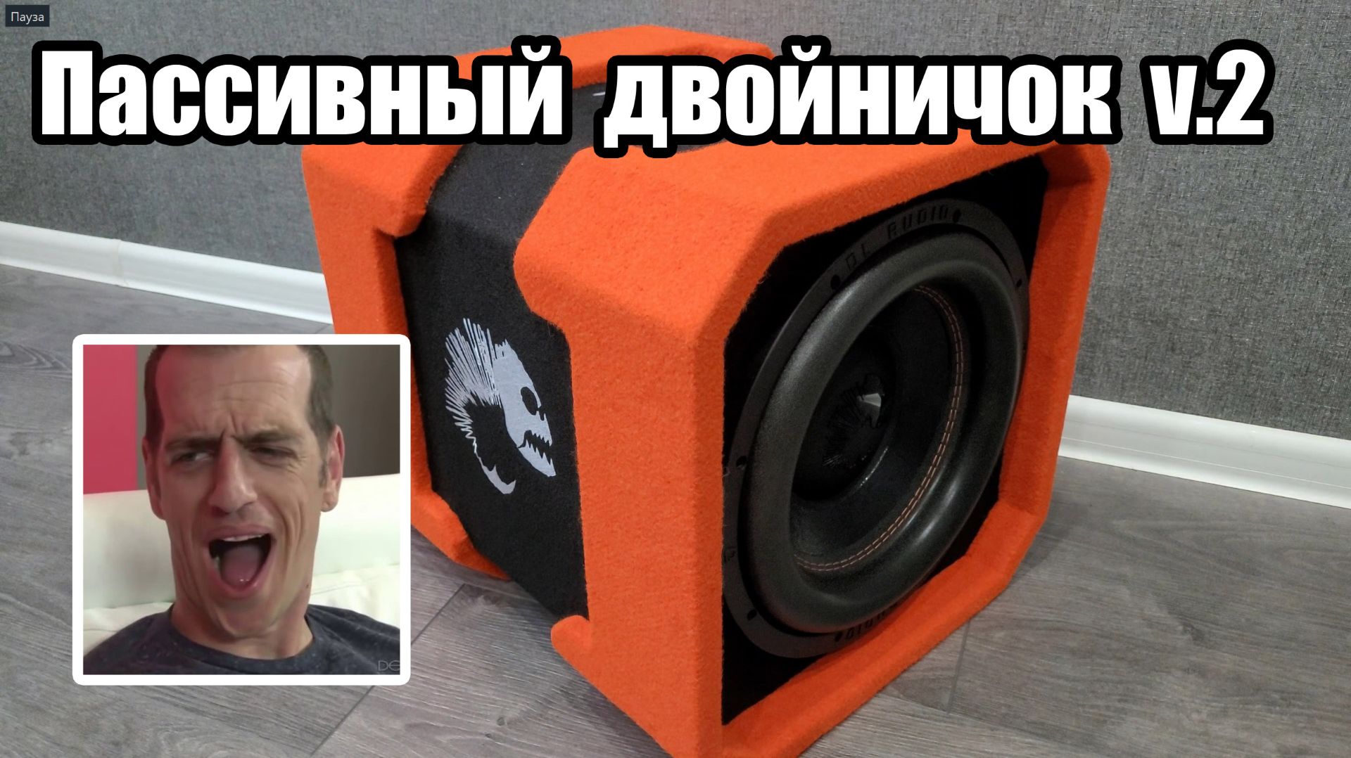 Обновленный Двойной сабвуфер - DL Audio Piranha 12A Twin V.2