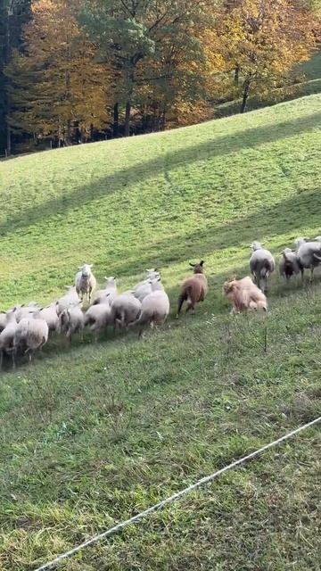 Миша уже на работу устроился)