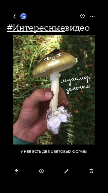 смотрим красоту