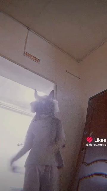 Первая съёмка для моей Бойки