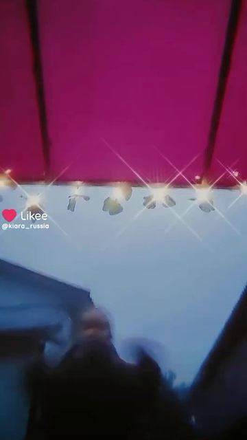 15 августа 2024 г.