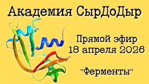 Эфир 18 апреля 2026 про Ферменты
